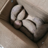 汇尔康(HR) 甜糯小紫薯 地瓜 紫心番薯 新鲜蔬菜粗粮 非红薯 带箱约2.5斤装晒单图