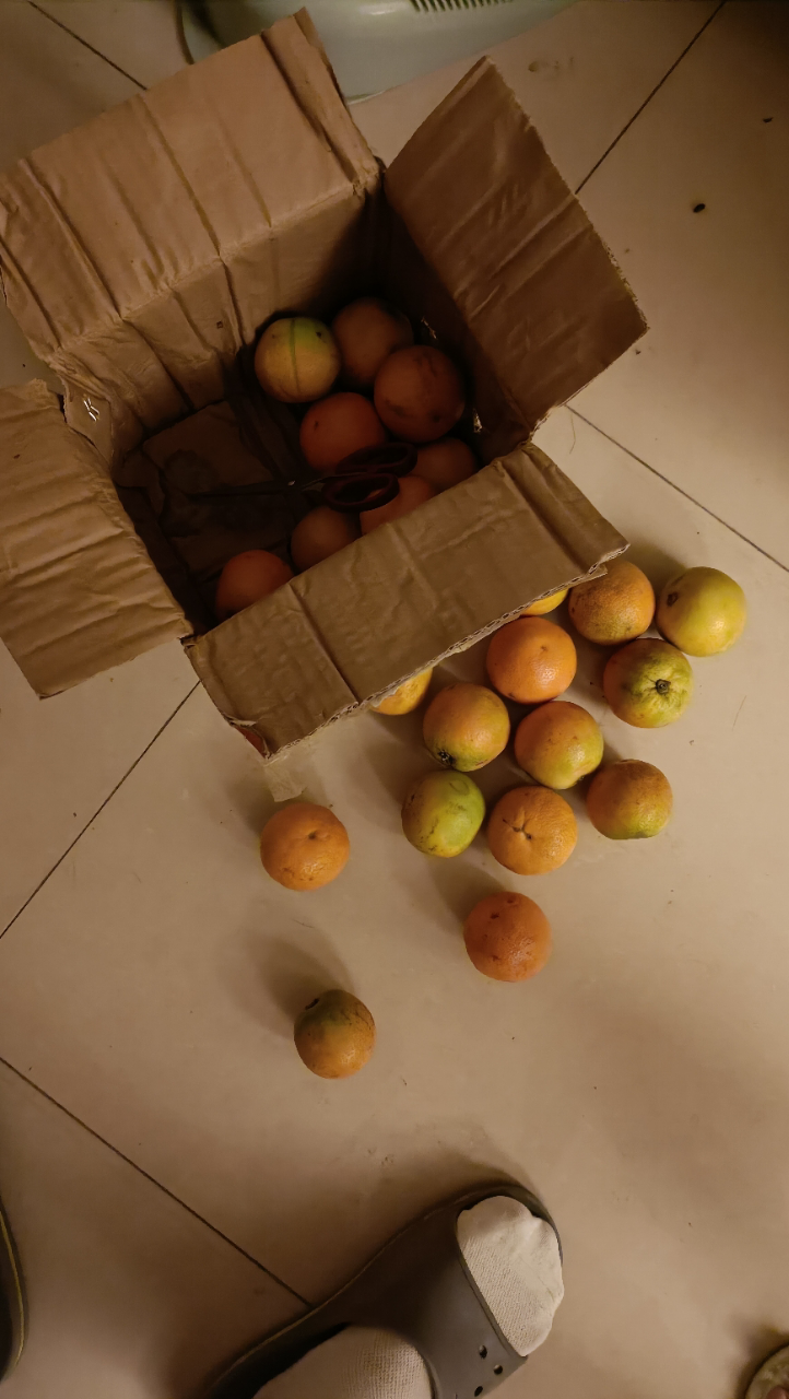 湖北秭归夏橙脐橙5斤装 单果径60-70mm 时令生鲜水果橙子坏果包赔晒单
