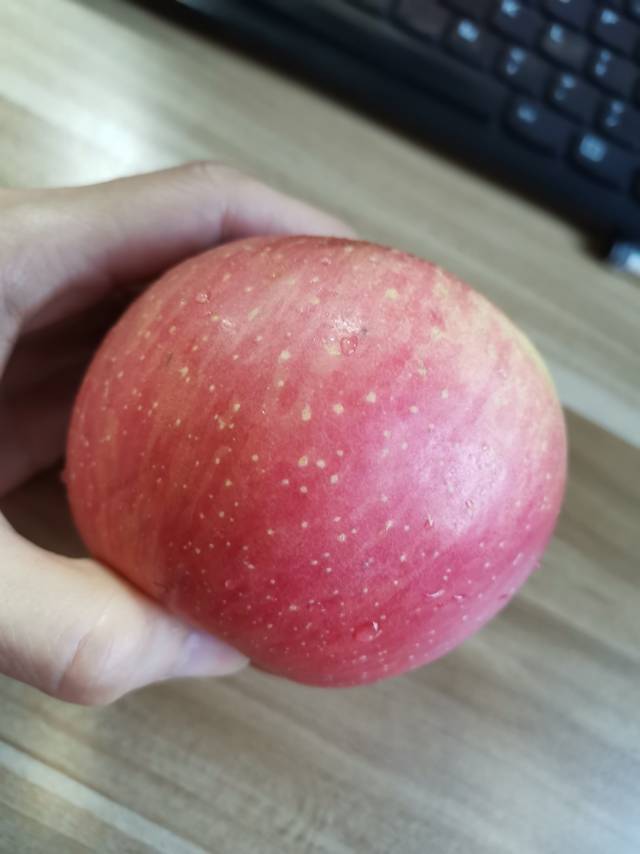 陕西洛川红富士苹果新鲜水果 20枚75 新鲜延安苹果水果晒单图