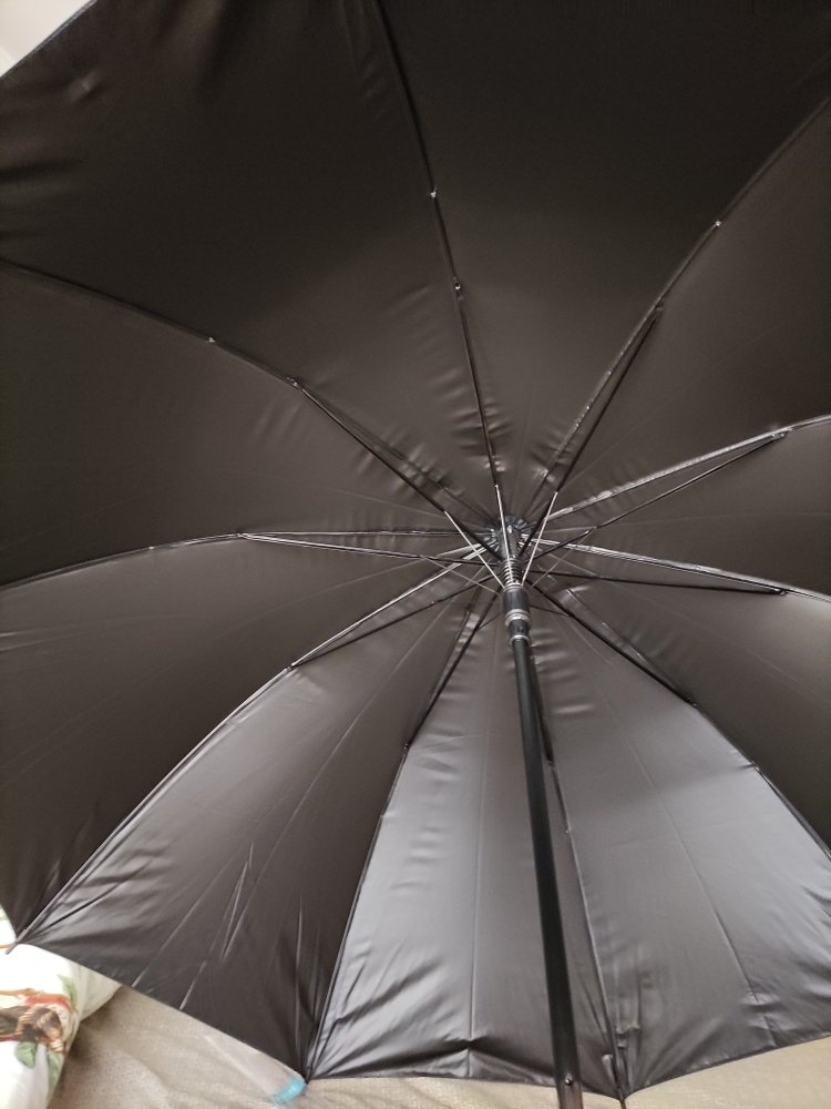 天堂伞 直杆伞自开长柄伞晴雨伞加大2-3人经典商务伞晴雨伞193E黑色晒单图