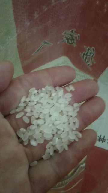 蟹田大米10斤装 盘锦大米东北大米农家自有水稻粳米珍珠米晒单图