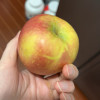 [西沛生鲜]云南昭通苹果 净重9斤 中果 单果32个左右 新鲜应当季水果整箱时令丑红富士晒单图