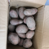[西沛生鲜]新鲜云南红皮小土豆 中果 净重4.5斤装 单果60-100g 新鲜蔬菜 农家种植晒单图