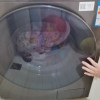 美的(Midea)滚筒洗衣机全自动 10公斤家用大容量感应式净螨消毒除菌洗wifi智能互联 MG100V58WIT晒单图