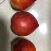 [新上市]新鲜油桃 3斤 桃子 黄心油桃 新鲜水果 生鲜水果 陈小四水果 特产晒单图