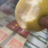 (买3斤送2斤) 砀山翠玉香梨净重5斤梨子新鲜当季果园直采砀山脆梨水果晒单图