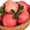 [苏鲜生]山东烟台红富士 当季水果 净重8.5斤 特大果 12-17个 脆甜可口晒单图