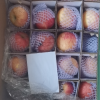 苹果水果 陕西延安苹果红富士 20枚80 mm 洛川苹果家庭装晒单图