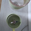 九阳(Joyoung)榨汁机 家用多功能小型便捷式全自动果汁机迷你料理机充电随行搅拌杯 L3-C86 绿色晒单图