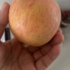 [西沛生鲜]山东烟台红富士 净重8.5斤 中果 23-28个 脆甜可口 西沛晒单图