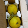 黄金密瓜甜瓜 3斤 1-2个 新鲜水果 水果 陈小四水果 生鲜特产晒单图