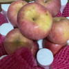 烟台红富士苹果带箱5斤装 烟台苹果 新鲜水果 苏宁苹果 水果生鲜晒单图
