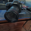 佳能(Canon)EOS 5D4 机身 数码相机单反 专业全画 4K短片 电池LP-E6 监视器点数 3040万像素晒单图