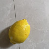 [苏鲜生]南非进口新鲜黄柠檬 8个装 单果130-150g香味浓郁 皮薄多汁 新鲜水果晒单图