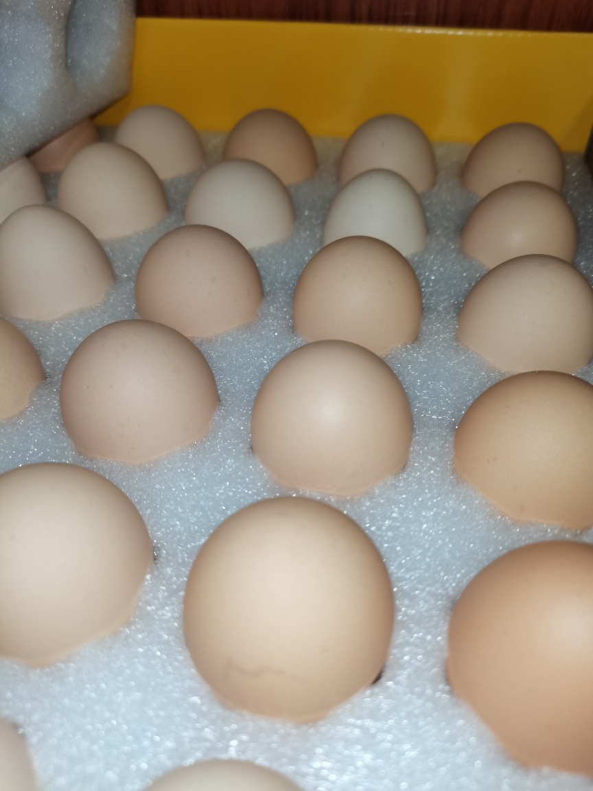 [五个农民]无抗富硒蛋 30枚装 土鸡蛋 新鲜鸡蛋 生鲜礼盒富硒蛋 顺丰速运晒单图