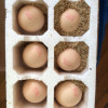 晋龙 新鲜鸡蛋40枚红心蛋非农家散养鸡蛋晒单图
