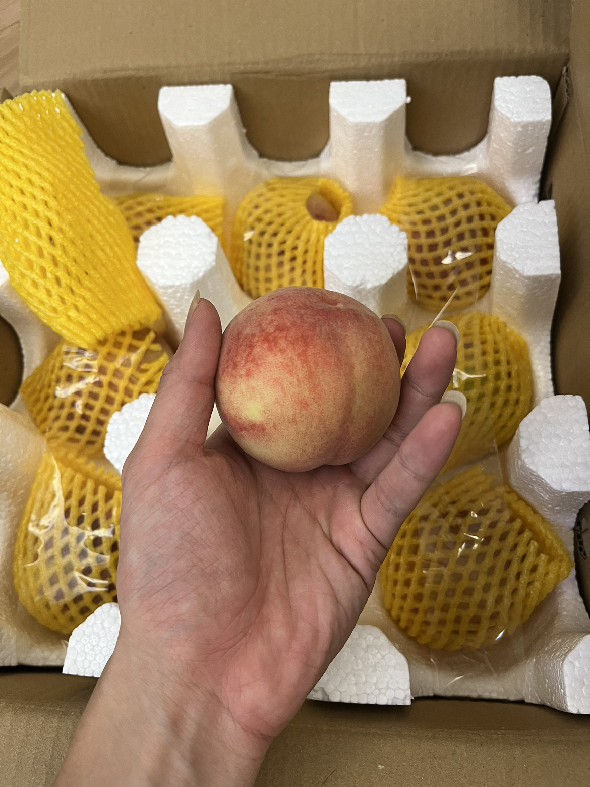 [苏鲜生] 新鲜水蜜桃 蜜桃新鲜水果 净重3斤装 大果 应季现摘脆甜毛桃子 整箱晒单图