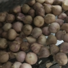 鲜贝达 云南独头蒜[干蒜]3斤中果[1.5-2.5]大蒜晒单图
