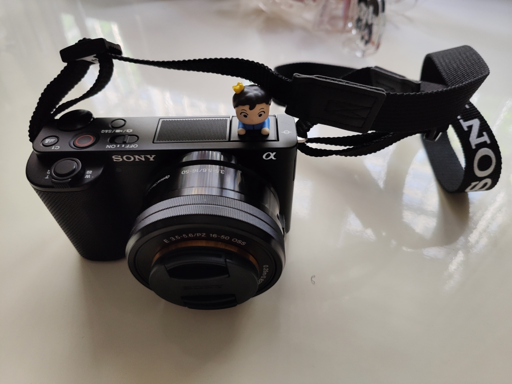 索尼(SONY)Vlog微单相机 ZV-E10L 标准镜头E PZ 16-50mm F3.5-5.6 OSS套装 黑色(ZV-E10L)升级版数码相机晒单图