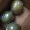 [西沛生鲜]泰国进口青皮红心柚 4个 大果 单果净重2.4-3斤 当季新鲜孕妇水果晒单图