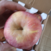 新鲜烟台苹果带箱2.5斤装 红富士苹果新鲜水果 苏宁特色生鲜 偶数发货晒单图