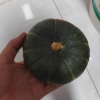 [西沛生鲜]贝贝小南瓜 新鲜蔬菜 净重3斤 2-3个 新鲜采摘 软糯香甜晒单图