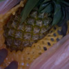 [苏鲜生]海南金钻凤梨 中果 带箱9斤 4-6个装 当季热带水果 香甜可口 产地直发晒单图