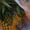 [苏鲜生]海南金钻凤梨 中果 带箱9斤 4-6个装 当季热带水果 香甜可口 产地直发晒单图