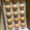 [西沛生鲜] 礼盒装 新鲜富硒虫草蛋 散养土鸡蛋 15枚 农家谷物虫草孕妇宝宝笨鸡蛋晒单图