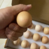 [西沛生鲜] 礼盒装 新鲜富硒虫草蛋 散养土鸡蛋 15枚 农家谷物虫草孕妇宝宝笨鸡蛋晒单图