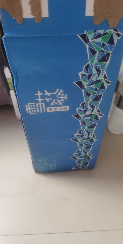 雪花(SNOW)啤酒 勇闯天涯(概念)500ml*18听整箱装晒单图