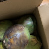 [西沛生鲜]海南椰青带皮 6个装 单果3.5-6斤 新鲜椰子 当季热带水果 汁水充沛 西沛晒单图