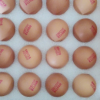苏鲜生 [苏宁自有品牌]可生食鲜鸡蛋1.8kg(30枚)晒单图