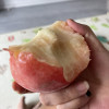 [苏鲜生] 新鲜水蜜桃 蜜桃新鲜水果 净重3斤装 大果 应季现摘脆甜毛桃子 整箱晒单图