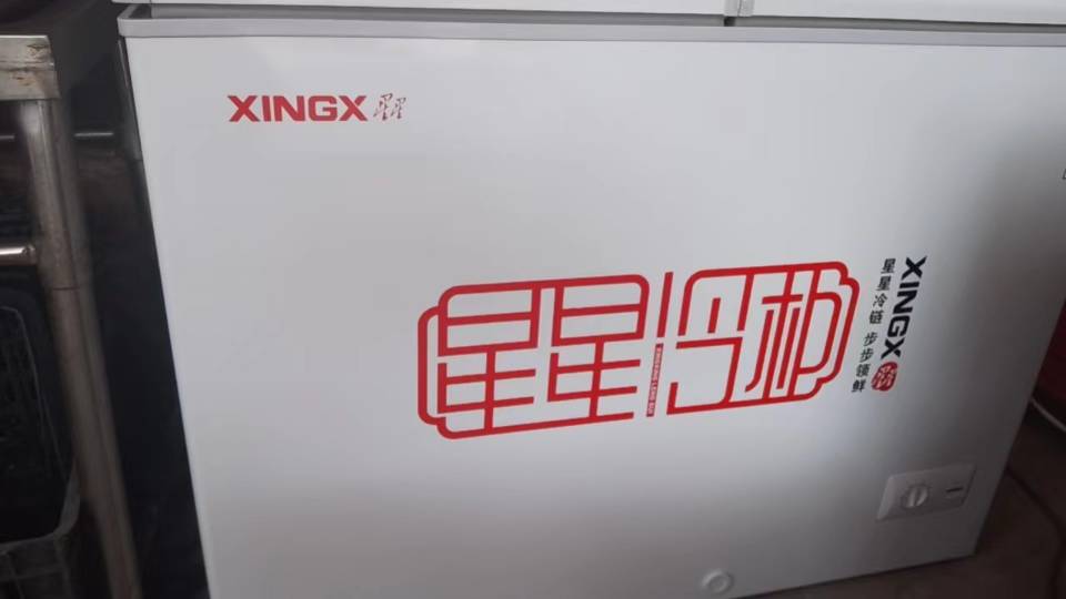 星星(XINGX)BCD-230HE 230升商用家用双温 冰柜 冷藏冷冻转换冷柜 商厨商用保鲜设备展示柜 顶开门冰箱晒单图