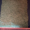 诺旦猫砂绿茶植物豆腐猫砂6L约4.8斤细颗粒豆腐猫砂除臭结团可冲马桶(发货迅速)晒单图