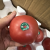 [苏鲜生]山东新鲜普罗旺斯西红柿 番茄 沙瓤西红柿 净重2.7-3斤 箱装 新鲜蔬菜 苏鲜生晒单图