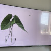 [旗舰店]小米电视65英寸 5Pro65 量子点屏幕4G+64G大内存超薄4K高清智能液晶平板电视机晒单图