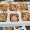 [苏鲜生]富硒鸡蛋喷码装 20枚 散养土鸡蛋柴鸡蛋笨鸡蛋草鸡蛋富硒蛋晒单图