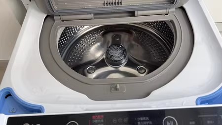 LG FY13WYW 纤慧系列11KG滚筒洗+2.5KG波轮洗衣机全自动 14分钟快洗 母婴分区洗 双擎 白色晒单图