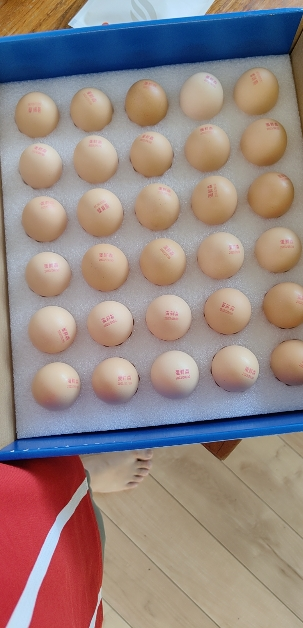蛋鲜森可生食蛋30枚装 1200g 高端无菌可生食 营养健康晒单图