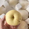 [西沛生鲜]精品皇冠梨 新鲜水果 松脆多汁 净重4.7-5.2斤 单果200g以上 西沛生鲜晒单图