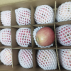 [通货实惠装]陕西洛川苹果红富士苹果水果礼盒生鲜延安苹果75~80mm整箱脆甜带箱9.5-10斤晒单图