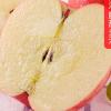 陕西延安洛川红富士苹果礼盒9枚85mm苹果水果甄选大果晒单图
