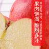 陕西延安洛川红富士苹果礼盒9枚85mm苹果水果甄选大果晒单图