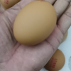 苏鲜生 [苏宁自有品牌]可生食无抗富硒鸡蛋1.71千克(30枚)晒单图