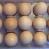 [西沛生鲜]新鲜谷物鸡蛋 20枚 散养土鸡蛋 柴鸡蛋笨鸡蛋草鸡蛋整箱晒单图