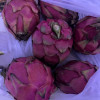 [西沛生鲜] 京都一号红心火龙果 3斤 中果 箱装 热带 水果 当季新鲜晒单图