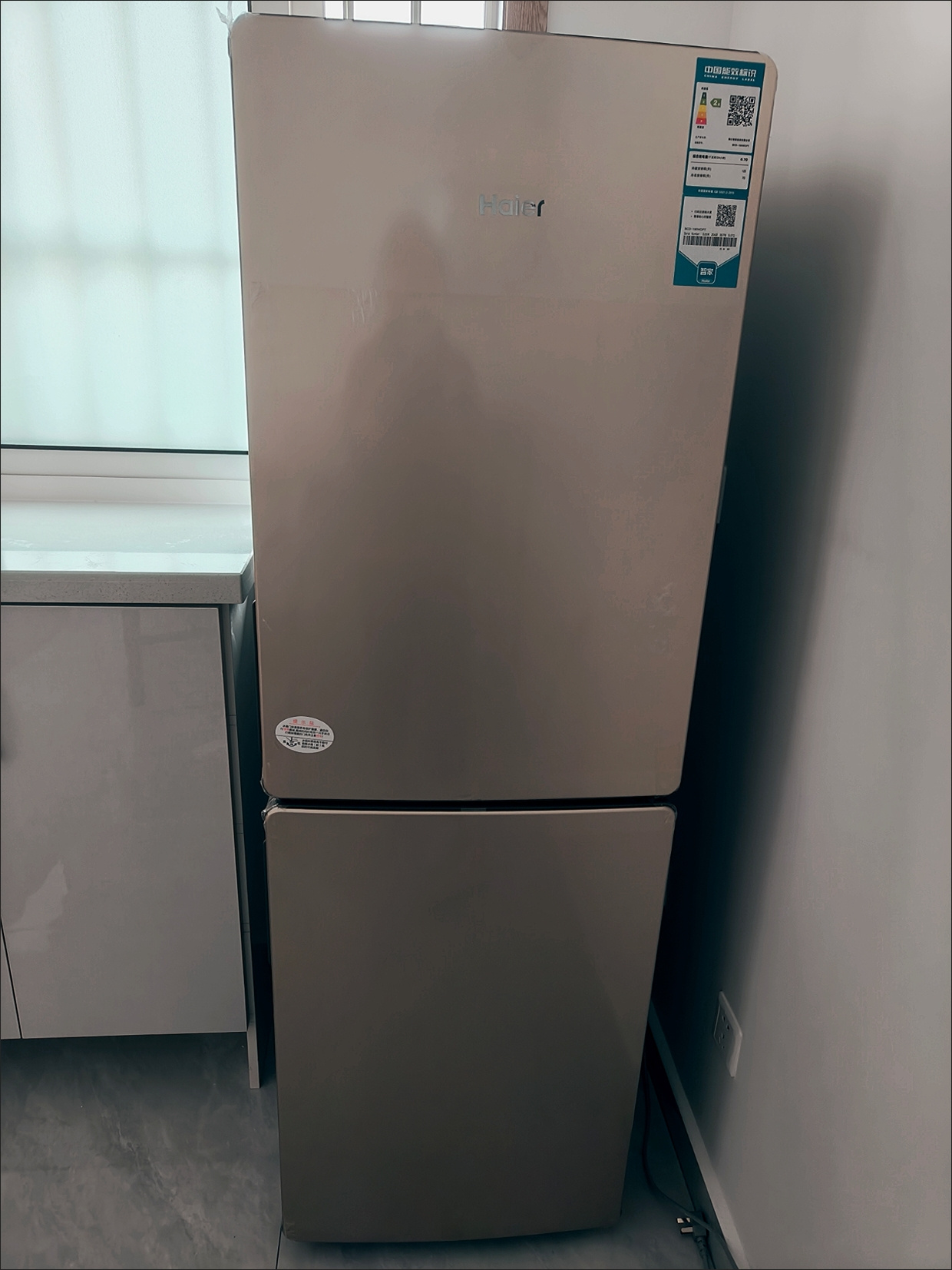 海尔冰箱190升小型家用大容量风冷无霜净味保鲜低温补偿电子控温两门电冰箱 WDPT晒单图