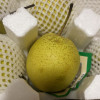 [西沛生鲜]河北精品雪花梨 新鲜水果 松脆多汁 净重4.5-5.2斤 单果300g以上 西沛生鲜晒单图